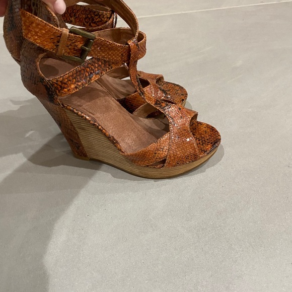 Python Wedges - Picture 4 of 4